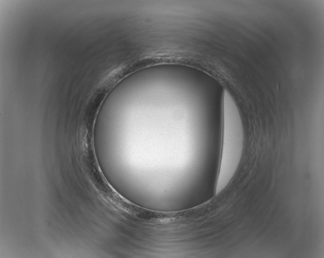 X0000079310692200611170855