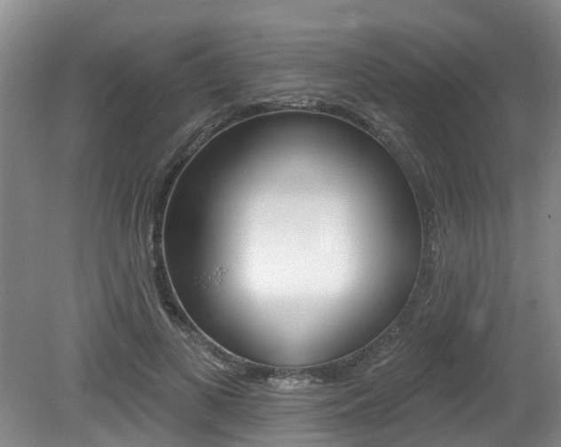 X0000079310693200611170855