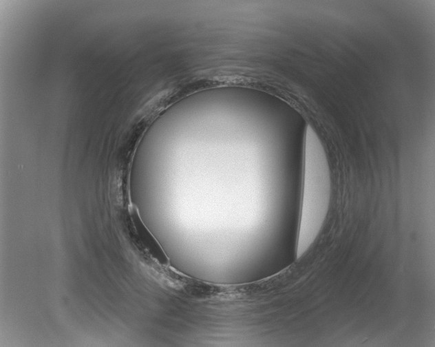 X0000079310696200611170855