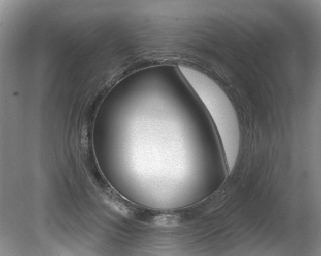 X0000079310700200611170855