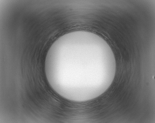 X0000079310701200611170855