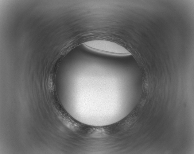 X0000079310715200611170855