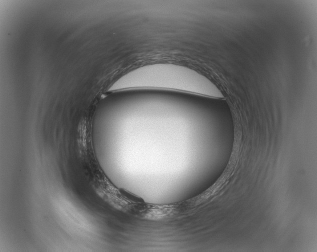 X0000079310720200611170855