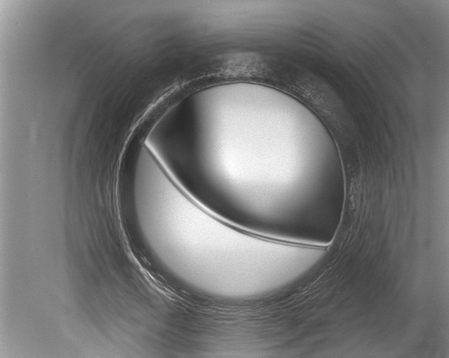 X0000079310722200611170854