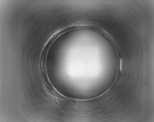 X0000079310723200611170854