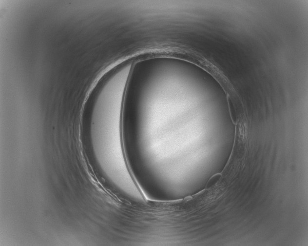 X0000079310724200611170854