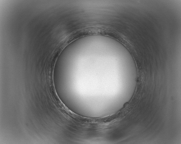 X0000079310737200611170854