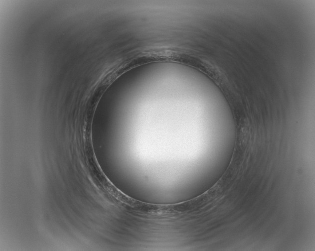 X0000079310739200611170854