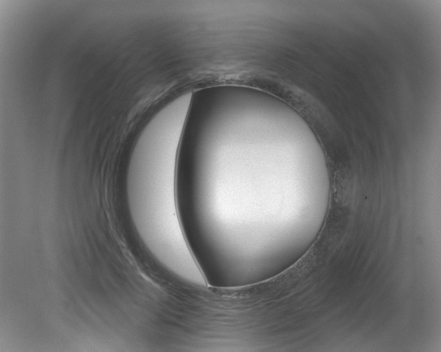 X0000079310740200611170854