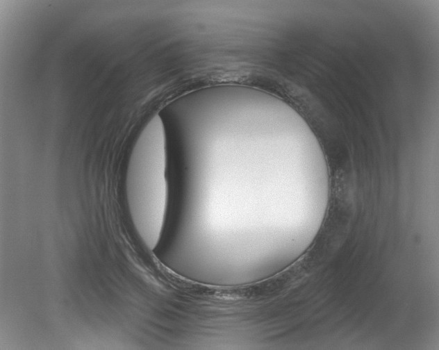 X0000079310741200611170854