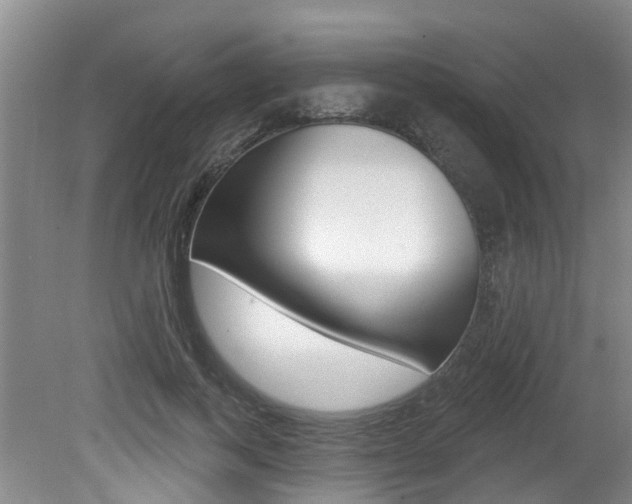 X0000079310743200611170854