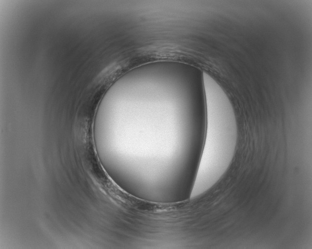 X0000079310744200611170854