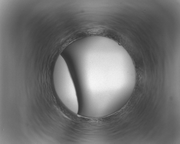 X0000079310745200611170854