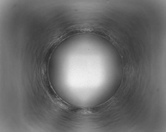 X0000079310747200611170854
