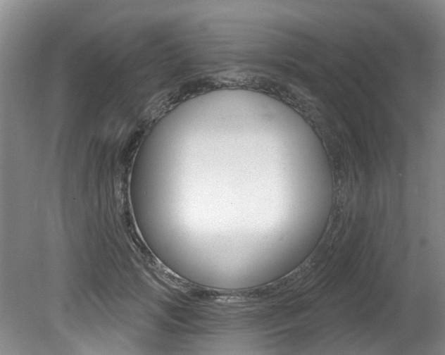X0000079310749200611170854