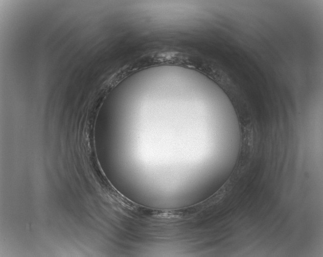 X0000079310754200611170854