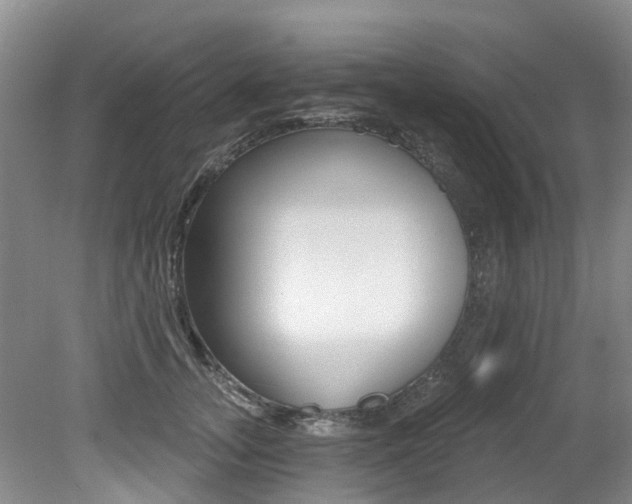 X0000079310755200611170854