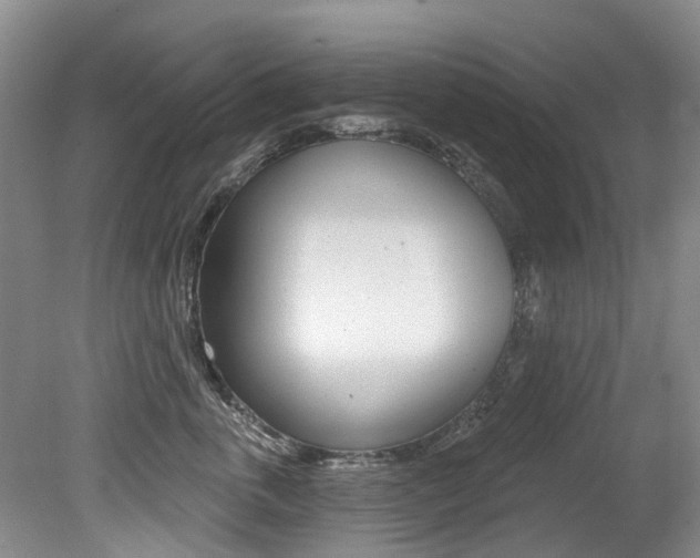 X0000079310763200611170855