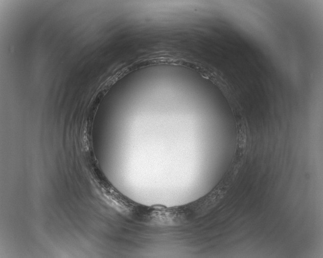 X0000079310764200611170855