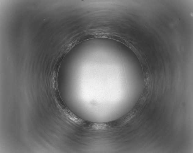 X0000079310767200611170855
