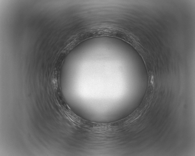 X0000079310771200611170854