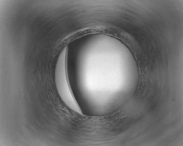 X0000079310773200611170854