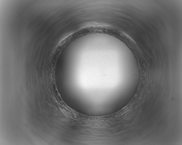 X0000079310775200611170854