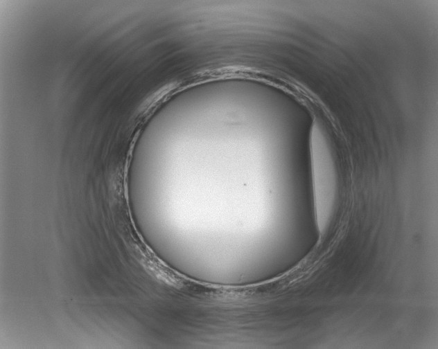 X0000079310785200611170854