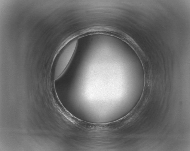 X0000079310786200611170853