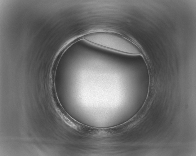 X0000079310787200611170853