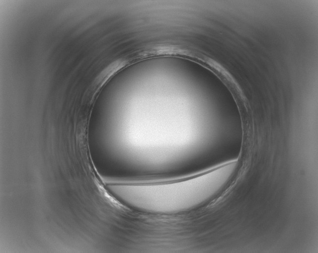 X0000079310801200611170853