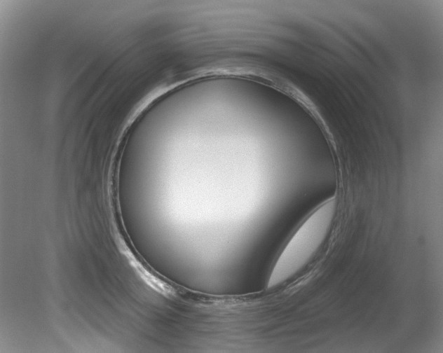 X0000079310803200611170853