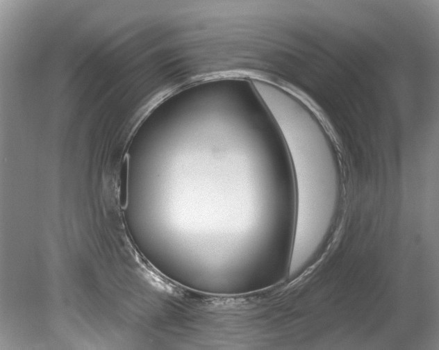 X0000079310809200611170853
