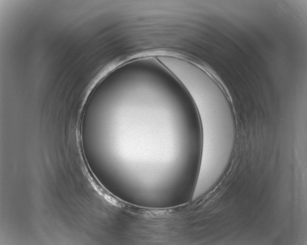 X0000079310813200611170853