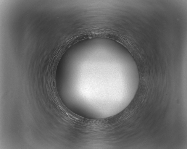 X0000079310817200611170852