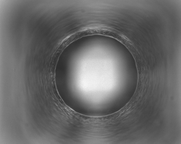 X0000079310822200611170852