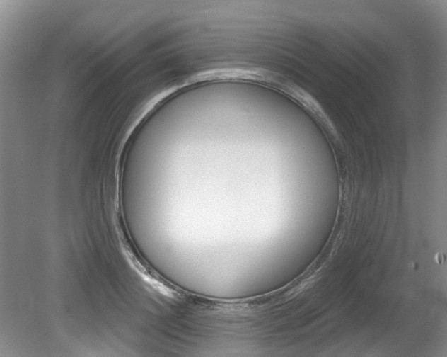 X0000079310844200611170853