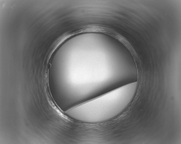 X0000079310852200611170853
