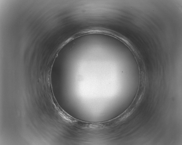 X0000079310857200611170853