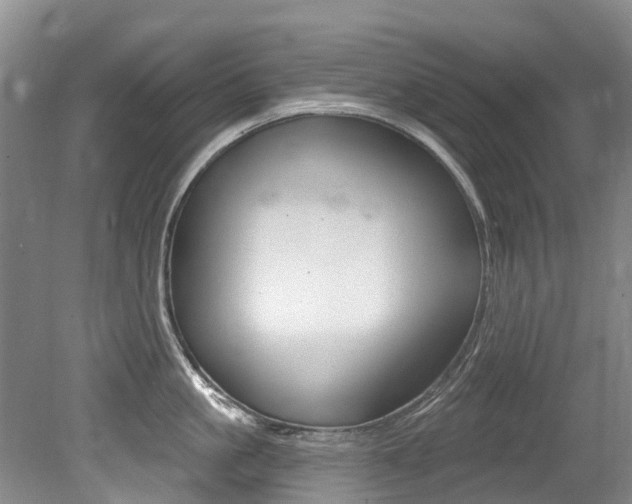 X0000079310861200611170853