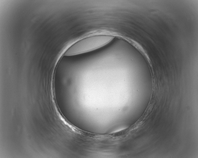 X0000079310863200611170853