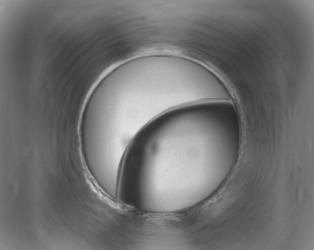 X0000079310864200611170853