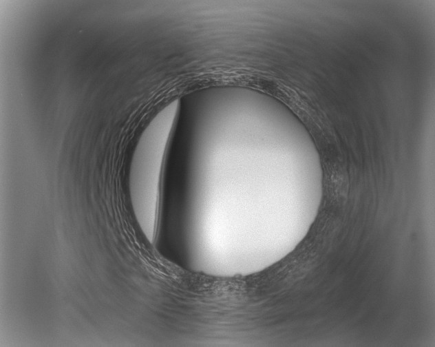 X0000079310865200611170852
