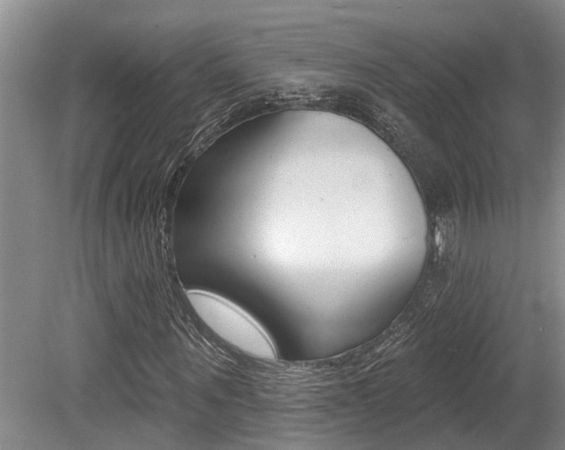 X0000079310867200611170852
