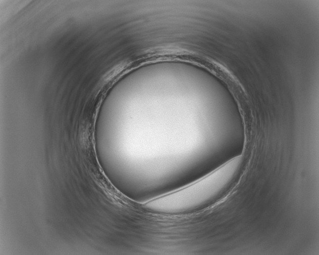 X0000079310873200611170852