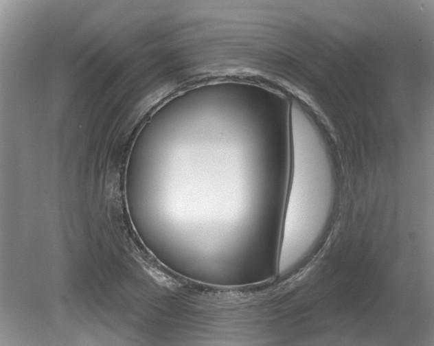 X0000079310881200611170852