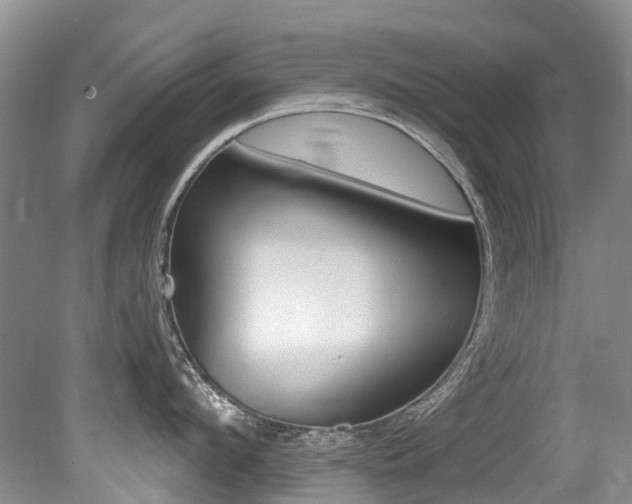 X0000079310912200611170851