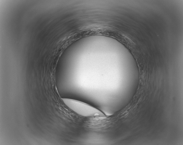 X0000079310917200611170851