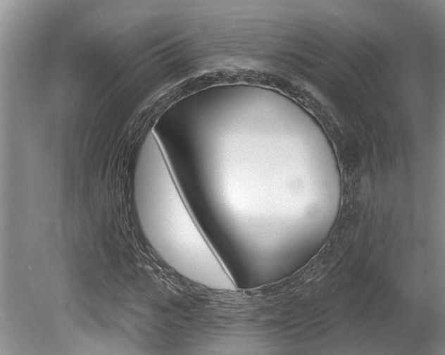 X0000079310919200611170851