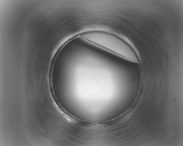 X0000079310943200611170851